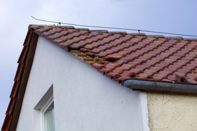 Signs to Repair, Patch or Replace Roof